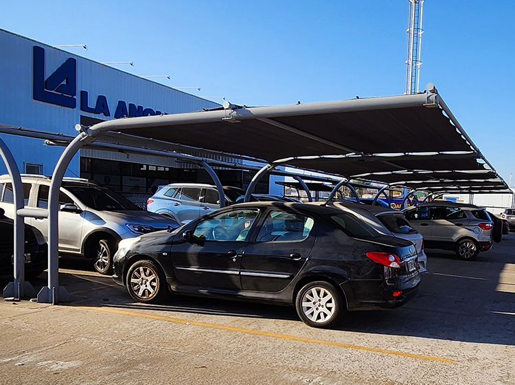 toldo anonima